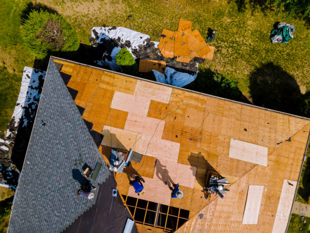 Best Roof Leak Repair  in Roland, IA