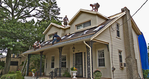 Roof Gutter Cleaning in Roland, IA